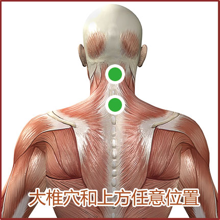 過(guò)敏性鼻炎貼敷位置示意圖