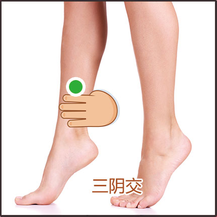 腎陽(yáng)虛、虛寒體質(zhì)貼敷位置示意圖